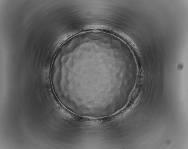 X0000100200937200805301307