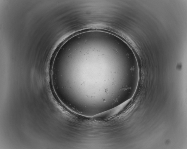 X0000100200939200805301307