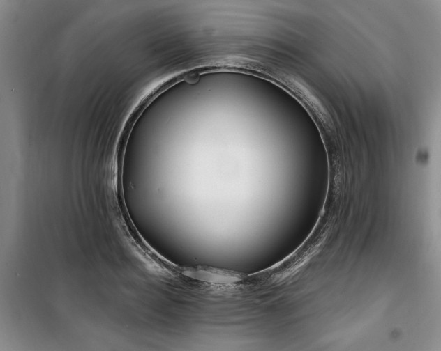 X0000100200940200805301307