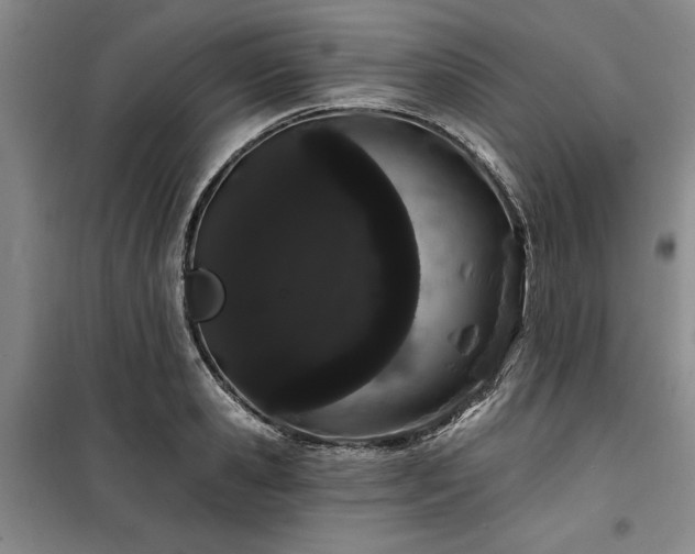 X0000100200941200805301307