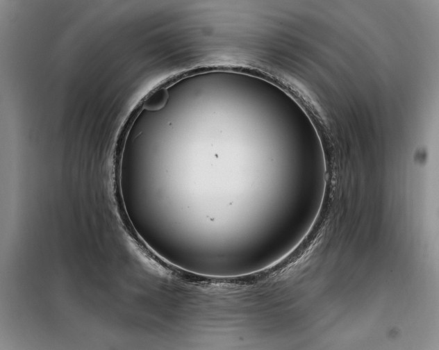 X0000100200942200805301307