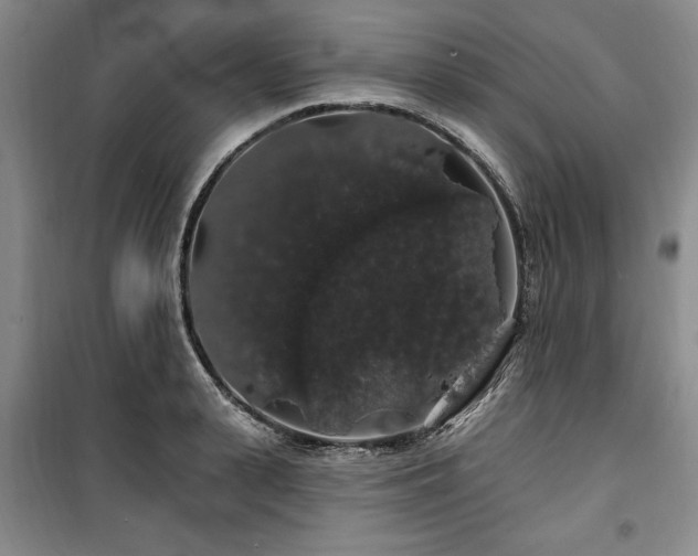 X0000100200943200805301307