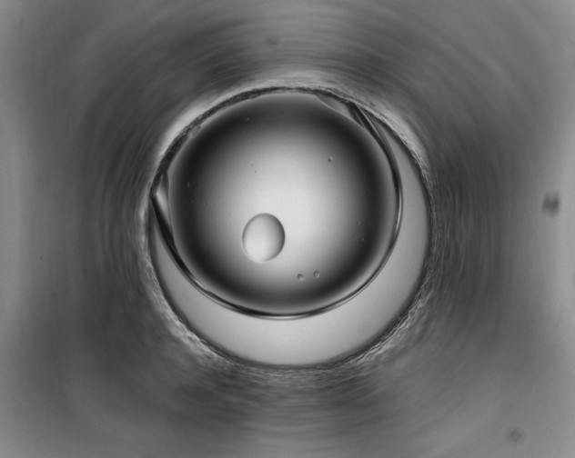 X0000100200944200805301307