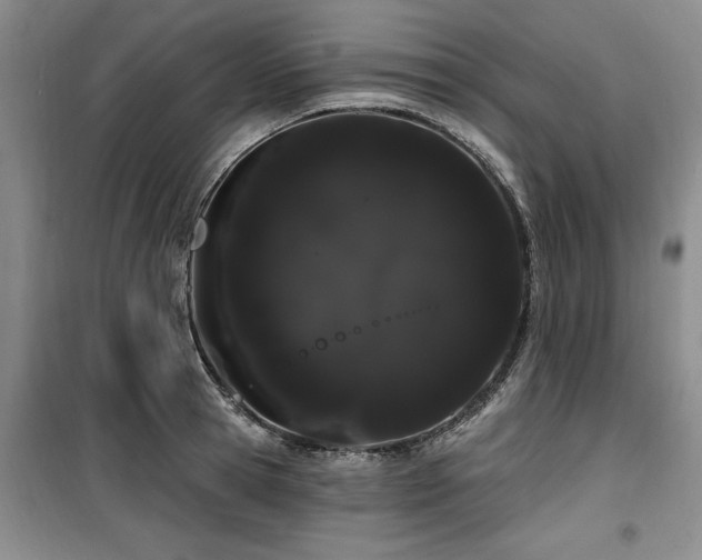 X0000100200945200805301307