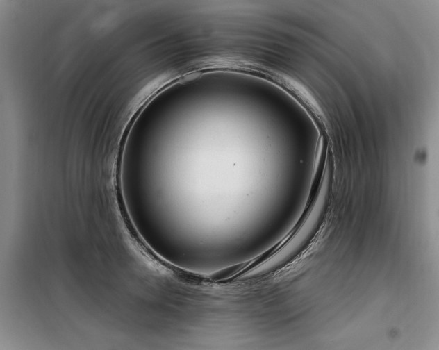 X0000100200946200805301307