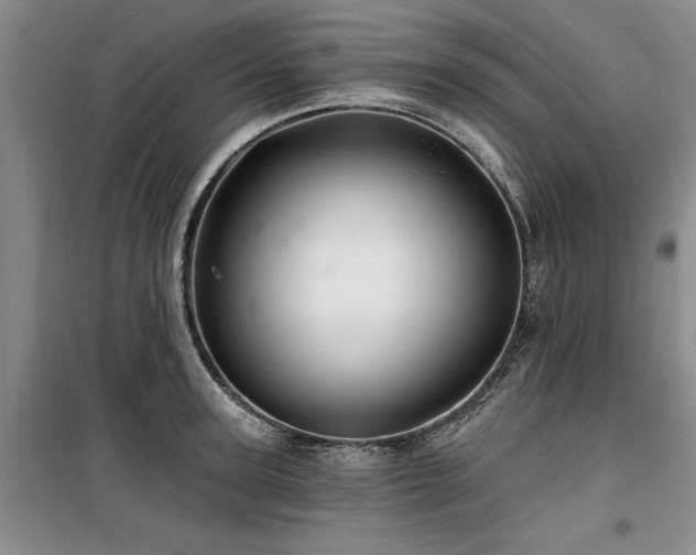 X0000100200947200805301307