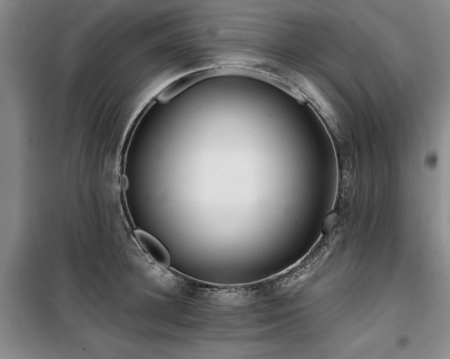 X0000100200948200805301307