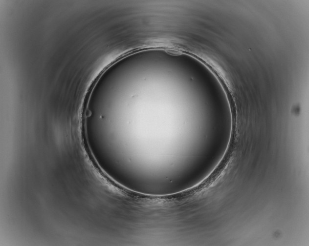 X0000100200949200805301307