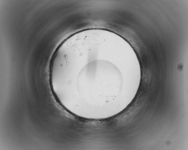 X0000100200950200805301307