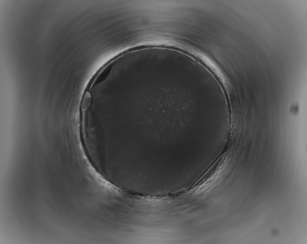 X0000100200951200805301307