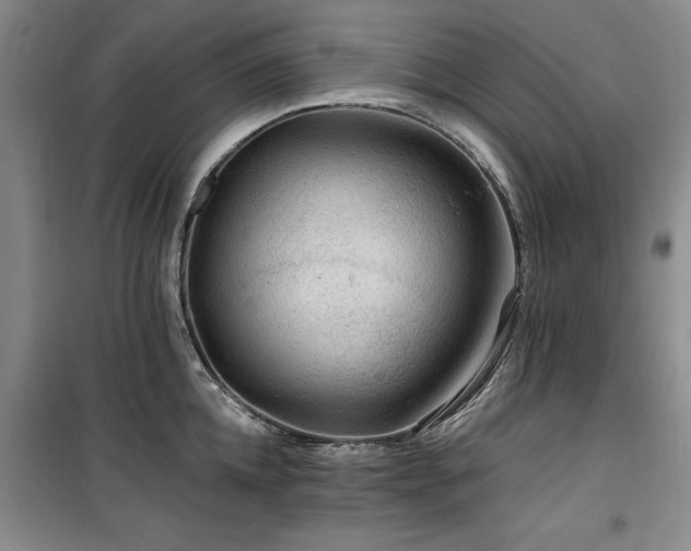 X0000100200952200805301307