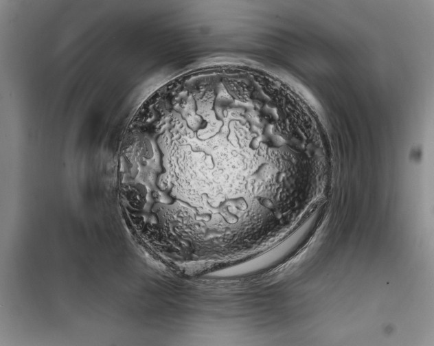 X0000100200953200805301307