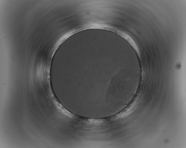 X0000100200954200805301307