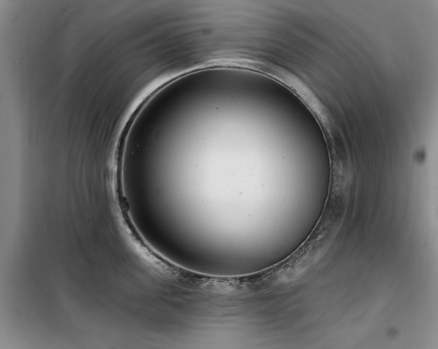 X0000100200955200805301307