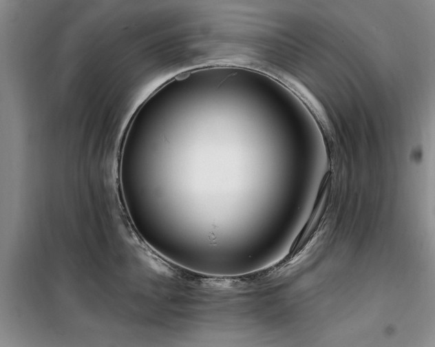 X0000100200956200805301307