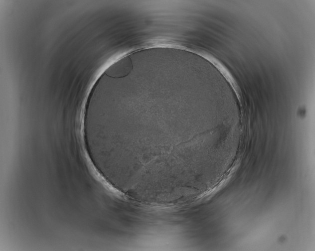 X0000100200957200805301307