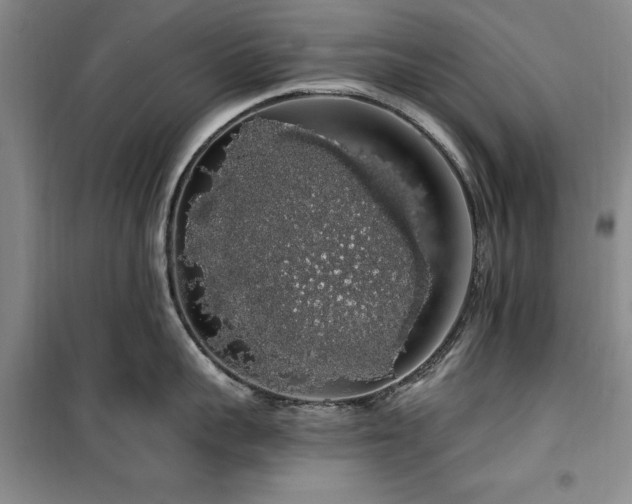 X0000100200959200805301307