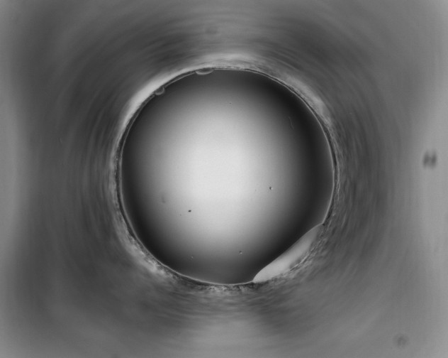 X0000100200960200805301307