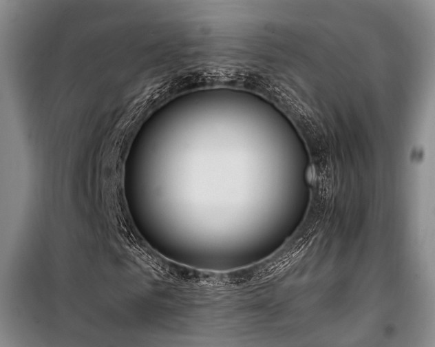 X0000100200961200805301306