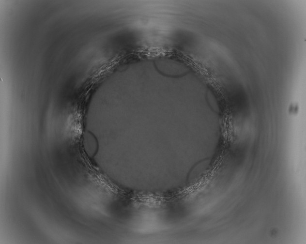 X0000100200962200805301306