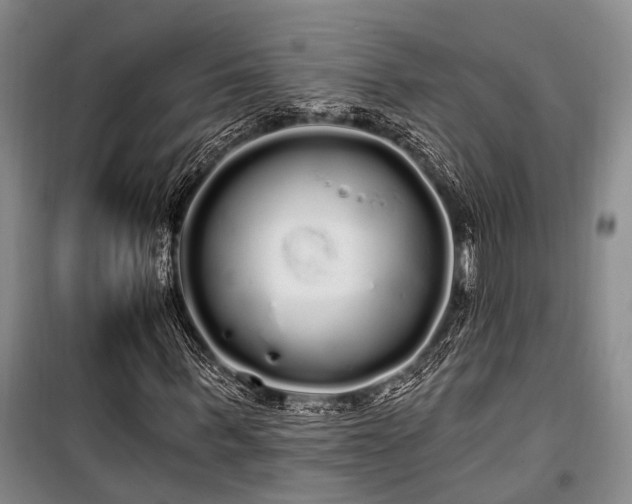 X0000100200963200805301306