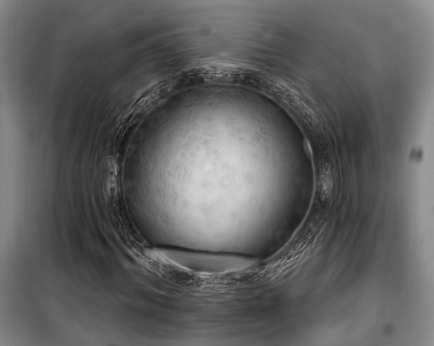 X0000100200964200805301306