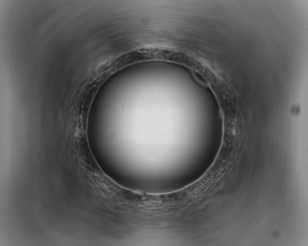 X0000100200965200805301306