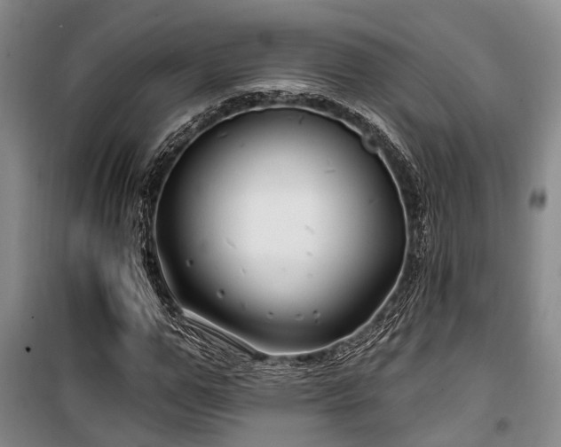 X0000100200967200805301306