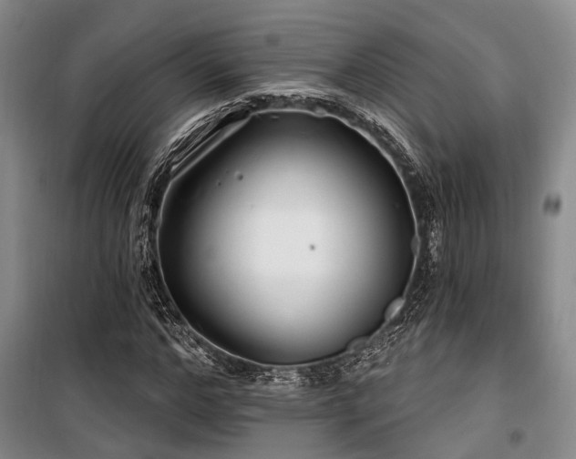 X0000100200968200805301306