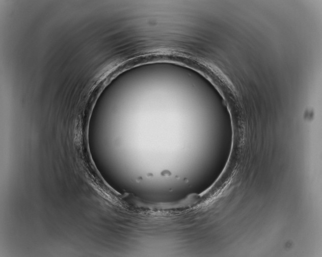 X0000100200969200805301306