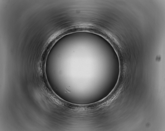 X0000100200970200805301306