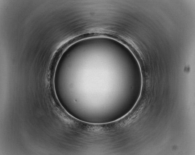 X0000100200971200805301306