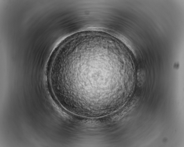 X0000100200972200805301306