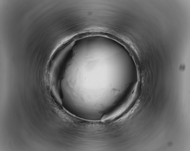 X0000100200973200805301306