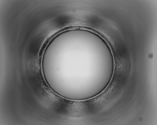 X0000100200974200805301306