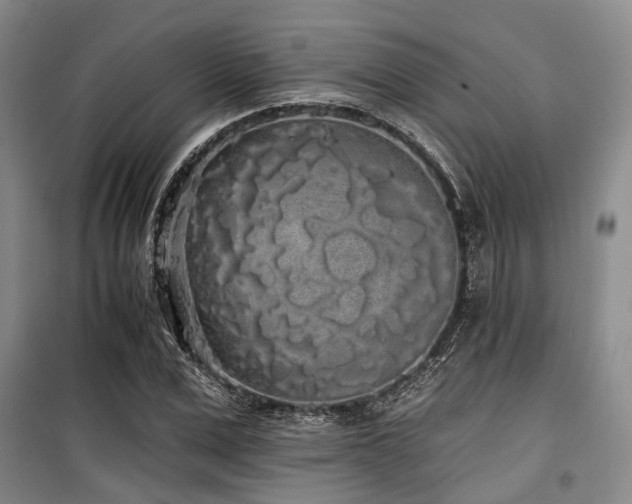 X0000100200975200805301306