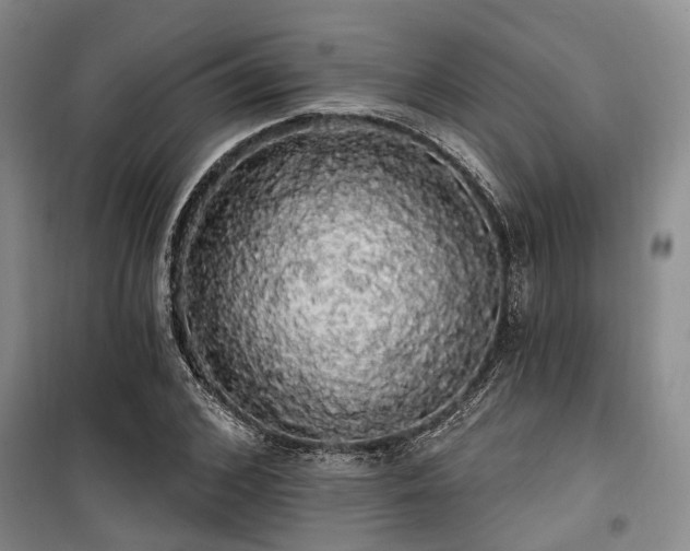 X0000100200976200805301306