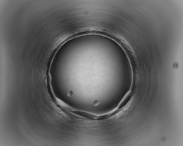 X0000100200977200805301306