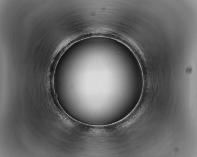 X0000100200978200805301306