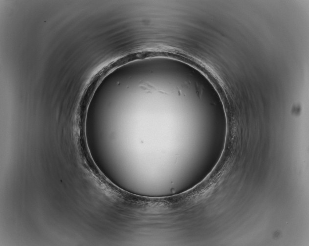 X0000100200979200805301306