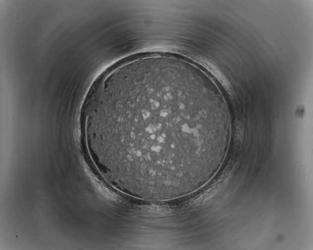 X0000100200980200805301306