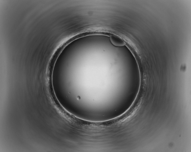 X0000100200981200805301306