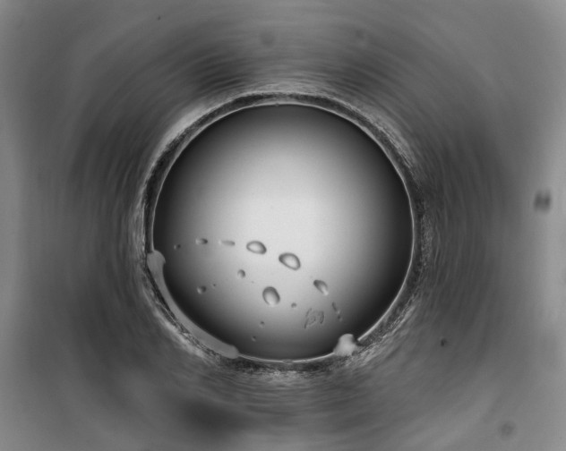 X0000100200982200805301306