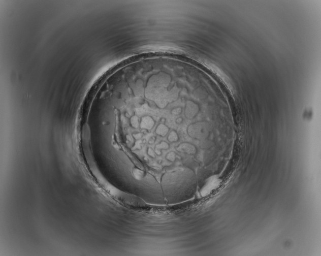 X0000100200983200805301306