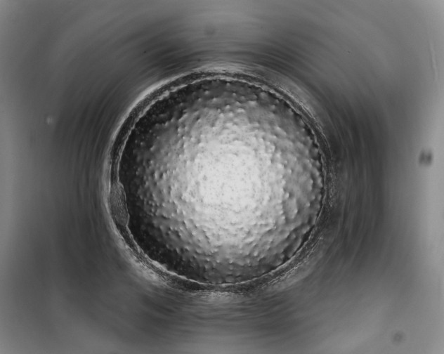 X0000100200984200805301306