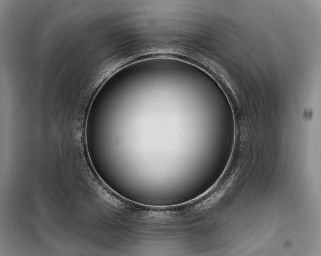 X0000100200985200805301306