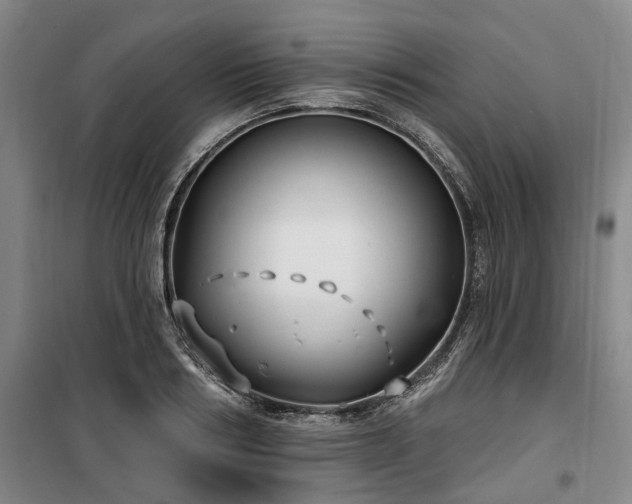 X0000100200986200805301306