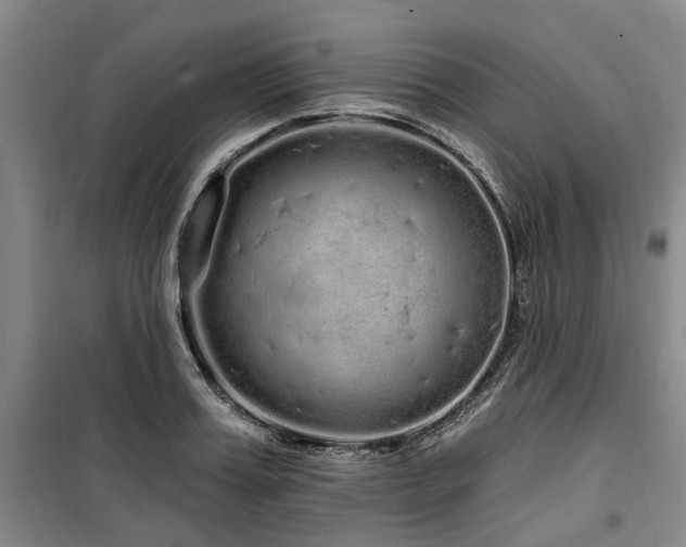 X0000100200987200805301306