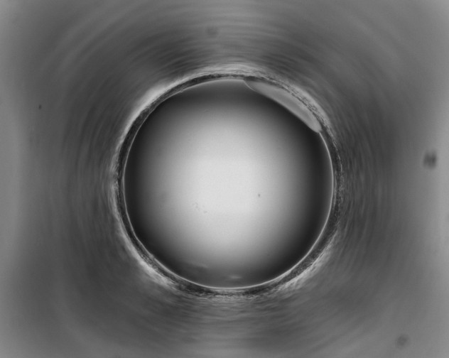 X0000100200989200805301306