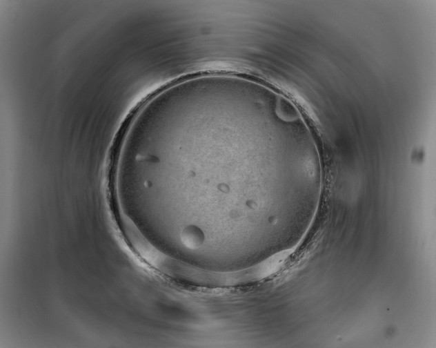 X0000100200991200805301306